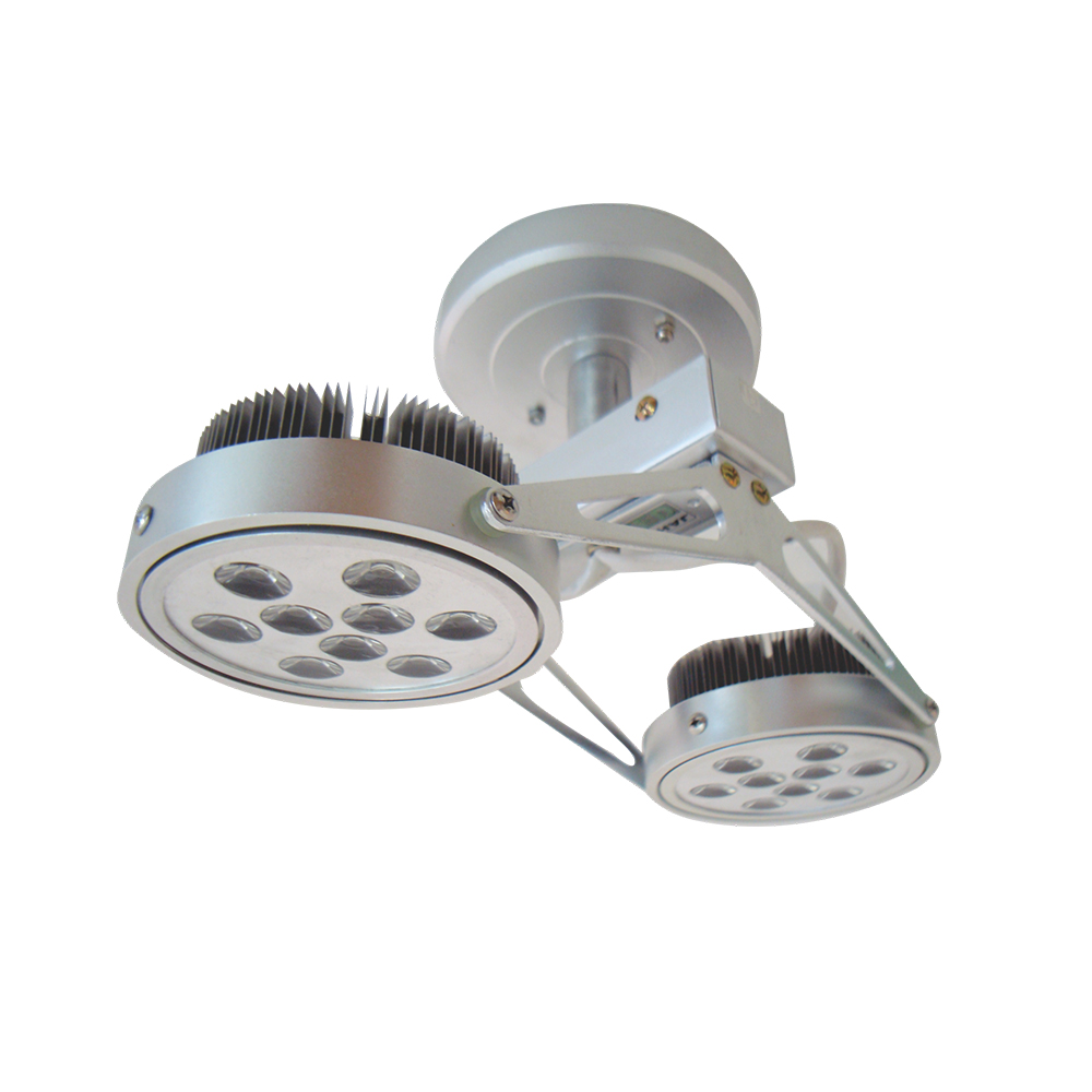 aic805-5458 ĐÈN LED CHIẾU ĐIỂM 2x12W (SAIC805)